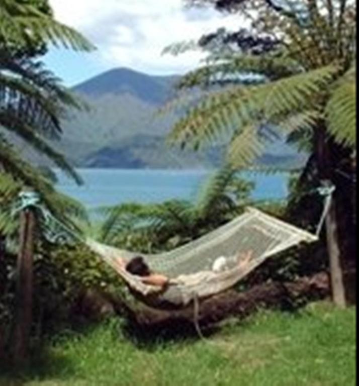 Lochmara Lodge - 20Mins By Boat From Picton Lochmara Bay Экстерьер фото