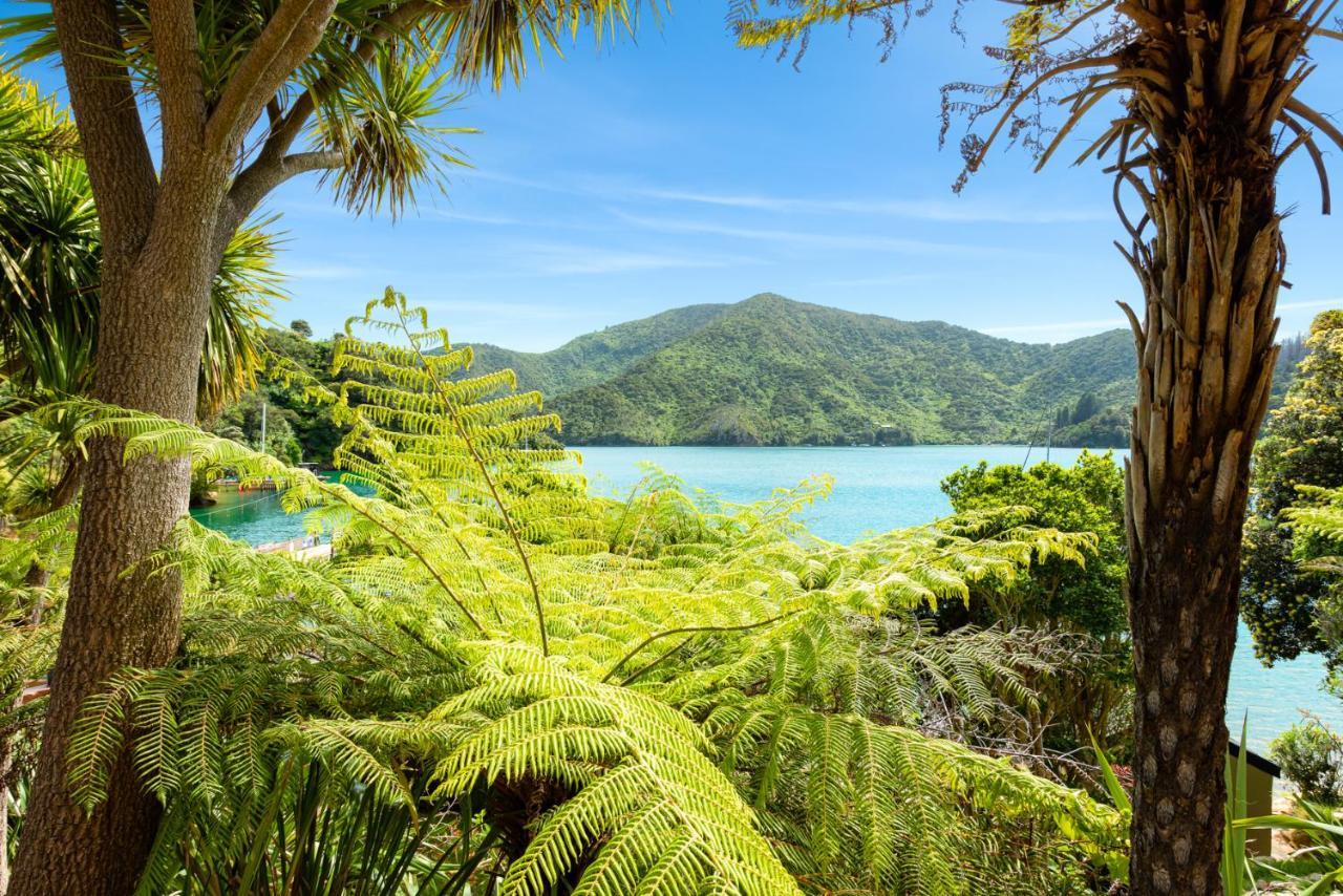 Lochmara Lodge - 20Mins By Boat From Picton Lochmara Bay Экстерьер фото